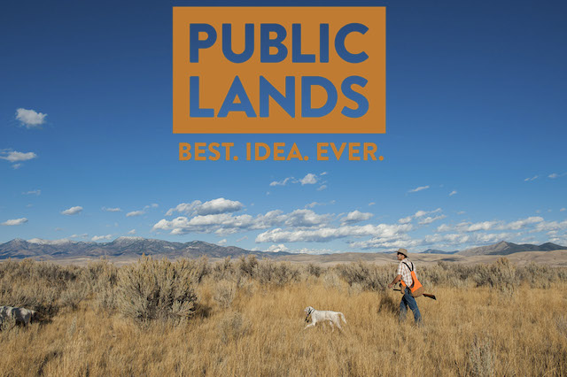 28 OCT 2012:  Upland Bird Hunting in  Pocatello, ID. (Joshua Duplechian)