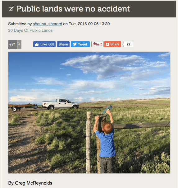 screen-shot-2017-02-08-at-8-00-29-am