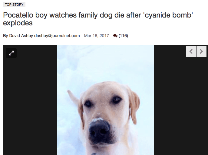 Screen Shot 2017-03-24 at 10.43.12 PM