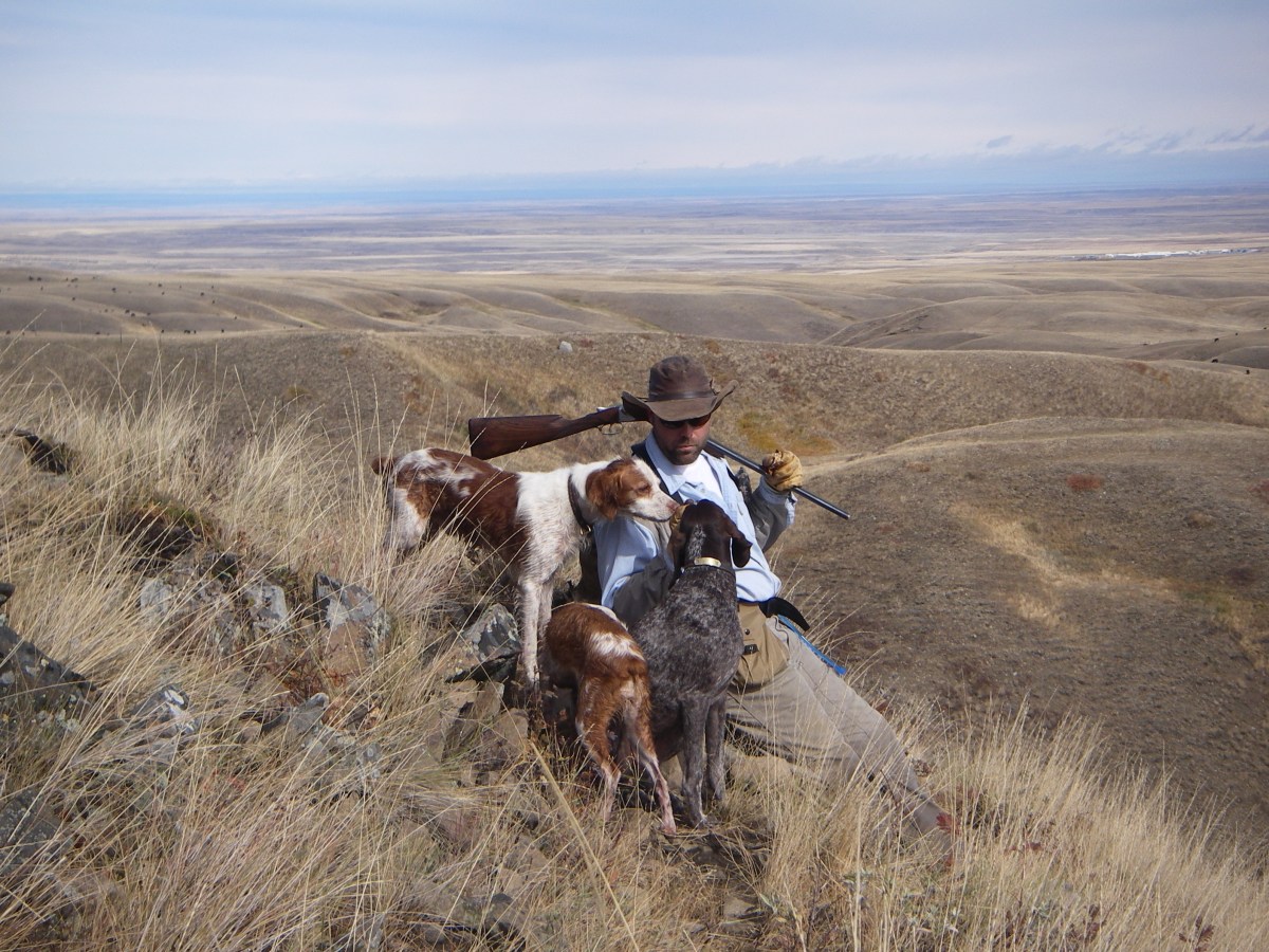 In defense of Alexander&nbsp;Supertramp