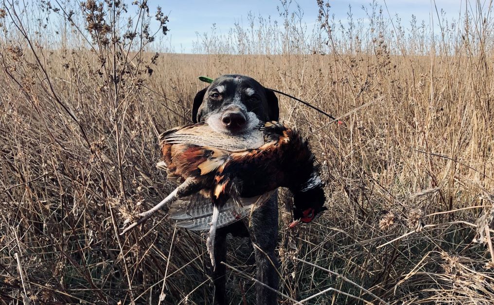 I’m here to tell&nbsp;you